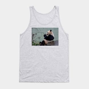 Panda and Robin Tank Top